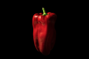 Red Pepper Isolated