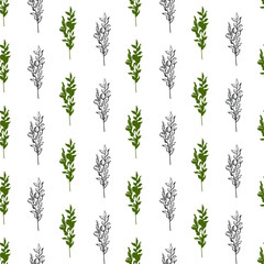 Olive branch seamless pattern. Hand drawn vector food illustration.  Mediterranean style plant background. Retro botanical illustration.