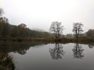 Fototapeta na wymiar Bad weather, featureless and overcast grey sky photography. Colorless scene of fish pond, trees, autumn forest and their reflection in the water. Beauty is everywhere.