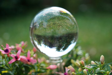 Colorful glass balls photographed in studio on pad with macro