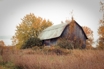 Abandoned Barn Against Grey Autumn Sky © Kelsey