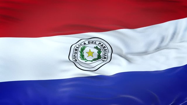 Paraguay flag waving in the wind with highly detailed fabric texture. Seamless loop