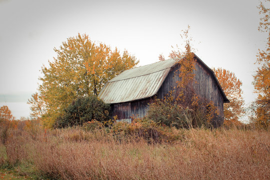 Abandoned Barn Against Grey Autumn Sky