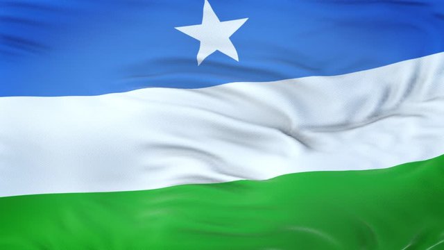 Puntland flag waving in the wind with highly detailed fabric texture. Seamless loop
