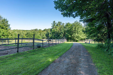 Fototapeta na wymiar Horse farm with green grass and a dirt road