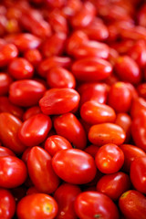 Fototapeta na wymiar detail of freshly picked red piennolo tomatoes