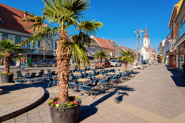 Palms trees at street cafe with Church in Leibnitz Austria