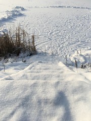 winter landscape with trees and snow