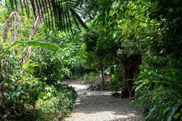 波照間島の町並み
