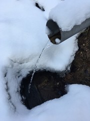 snow covered branches of tree in winter