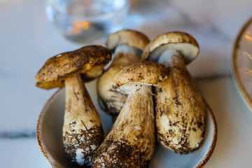 bowl full of freshly picked mushrooms