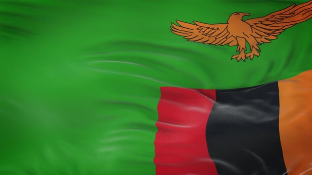 Zambia flag waving in the wind with highly detailed fabric texture. Seamless loop