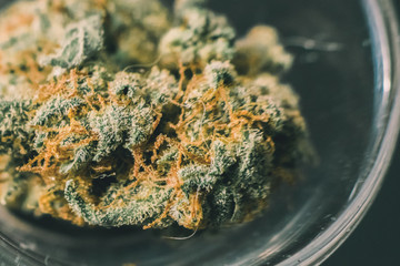 Sativa and Indica marijuana, cannabis macro trichomes thc flower in the Bong Thimble. Concepts the...