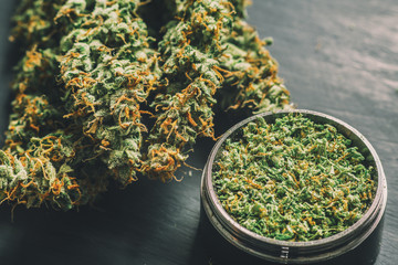 weed in a grinder Macro of marijuana with trichomes and crushed for chopping a canapis on a black...