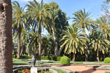 Fototapeta premium Bahai Gardens in Haifa.