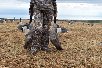girl with waterfowl