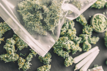 Macro of marijuana with trichomes Macro of marijuana with weed buds of marijuana Cookies with...