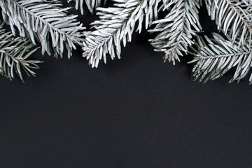 Christmas fir tree with snow on a black background
