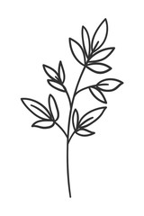 Isolated leaf plant vector design