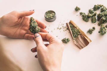 Woman rolling a cannabis blunt on white background. marijuana use concept. Woman preparing and...