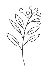 Isolated leaf plant vector design
