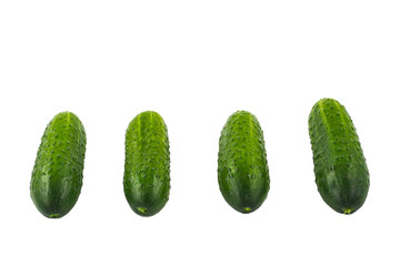 agriculture; background; backgrounds; close; close-up; closeup; color; cucumber; cucumbers close-up; cucumbers on a white background; cuke; diet; dieting; eating; food; four; fresh; freshness; gardeni