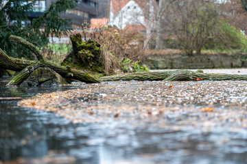 Gefrorenes Wasser im Teich mit Einschlüssen