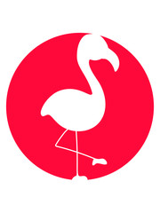 Logo Kreis Flamingo clipart comic
