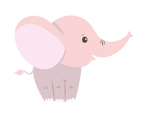 Isolated cute elephant cartoon vector design
