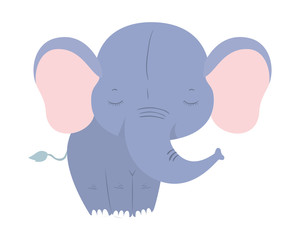 Isolated cute elephant cartoon vector design