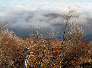 view from Bukowe Berdo, Bieszczady Mountains, Carpathian Mountains, Poland