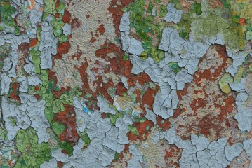 colored texture from old shabby paint on a dirty concrete wall