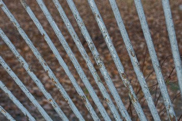 gray texture of old iron rods on the fence