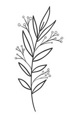 Isolated leaf plant vector design