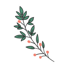 Isolated leaf plant vector design