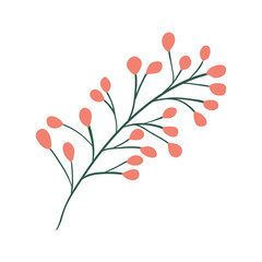 Isolated leaf plant vector design