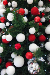 Fototapeta na wymiar Green Christmas tree. The New Year's tree branch is decorated with red and white balls and garlands. Christmas holidays background.