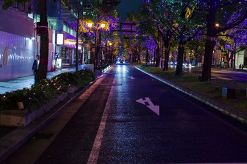 大阪・御堂筋の夜景