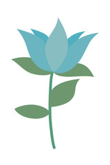 Isolated blue flower ornament with leaves vector design