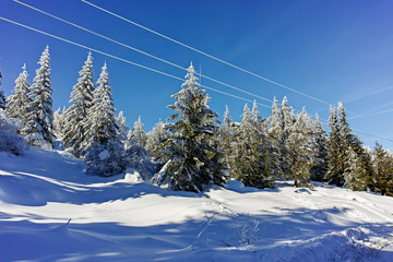 Winter landscape of Vitosha Mountain, Bulgaria