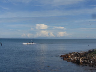 boat in the sea