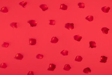 Valentine's Day background. Beautiful rose petals on red background. Valentine day concept. Flat lay, top view, copy space