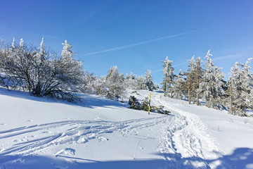 Obraz premium Winter landscape of Vitosha Mountain, Bulgaria