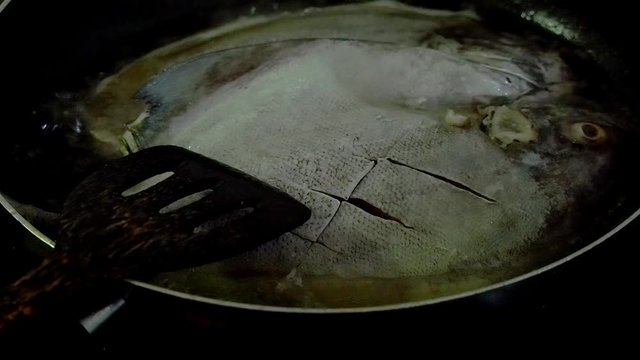 "Butter Fish" Images – Browse 346 Stock Photos, Vectors, and Video