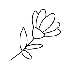 Isolated flower ornament with leaves vector design