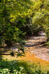 Fototapeta na wymiar Very little water flowing through this river during a summer season of drought in the mountains of a tropical Caribbean island. Rural countryside setting with beautiful green lush foliage and stream.