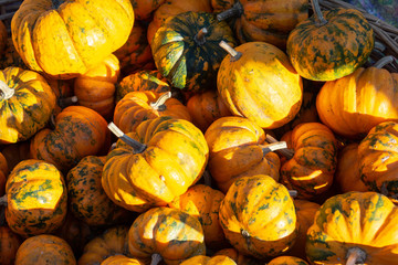 Pumpkins in a rural street market