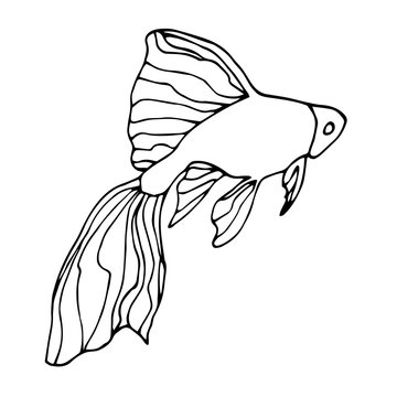 black and white fish swimming clip art preview