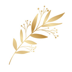 Isolated gold leaf plant vector design