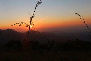 Naklejka premium mountain sunrise crossed wheat